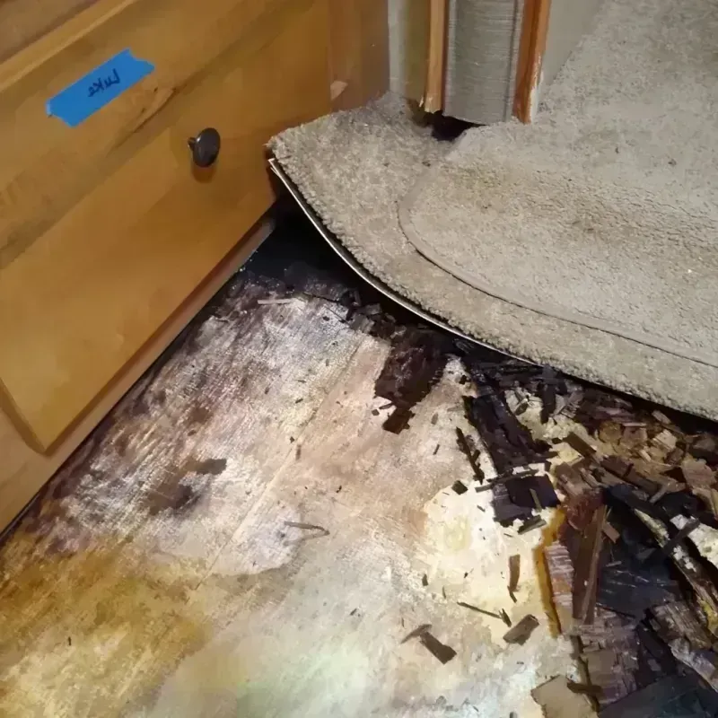 Best Wood Floor Water Damage Service in Ford County, KS